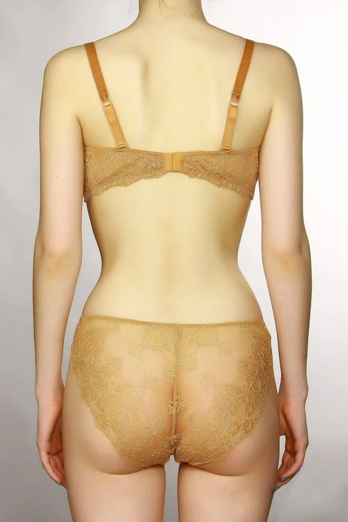 Ambra Brief